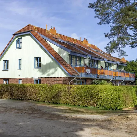 Papillon 11-5 * 볼텐하겐