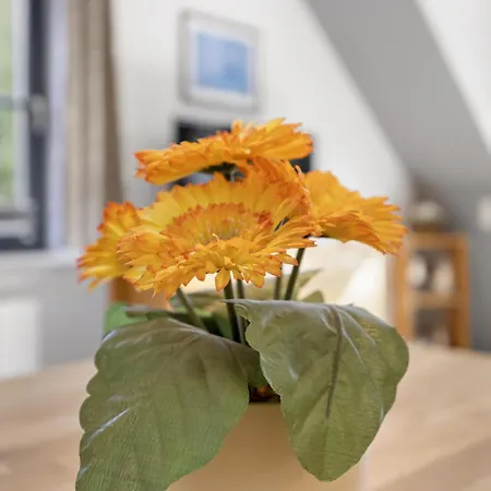 Papillon 11-5 아파트 볼텐하겐